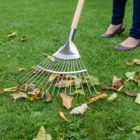 Long Handled Lawn / Leaf Rake Stainless Steel K & S - image 2