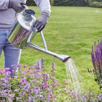 Long Reach Watering Can 9L - image 2