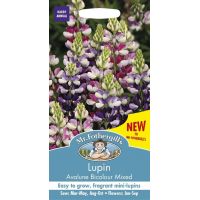 UK/FO-LUPIN Avalune Bicolour Mix - image 1