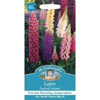 UK/FO-LUPIN Festival Mixed - image 1