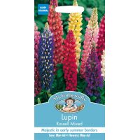 UK/FO-LUPIN Russell Mixed - image 1