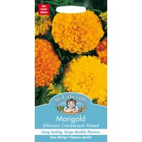 UK/FO-MARIGOLD (African) Crackerjack Mixed - image 1