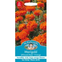 UK/FO-MARIGOLD (African) Kees' Orange - image 1