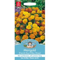 UK/FO-MARIGOLD (French) Boy-O-Boy Mixed - image 1