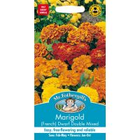 UK/FO-MARIGOLD (French) Dwarf Double Mixed - image 1