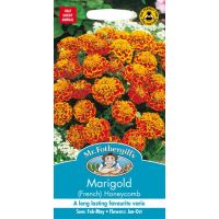 UK/FO-MARIGOLD (French) Honeycomb - image 1