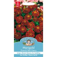UK/FO-MARIGOLD (French) Red Cherry - image 1