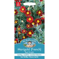 UK/FO-MARIGOLD (French) Red Knight - image 1