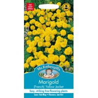 UK/FO-MARIGOLD (French) Yellow Jacket - image 1