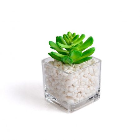 Miniature Glass Succulent