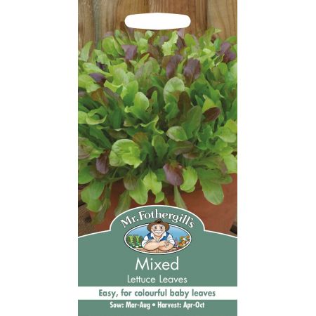 UK/FO-MIXED Lettuce Leaves - image 1