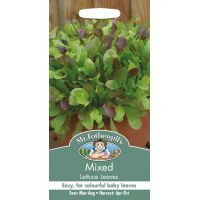 UK/FO-MIXED Lettuce Leaves - image 2