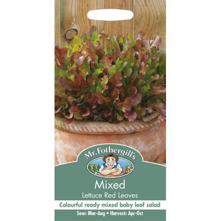 UK/FO-MIXED Lettuce Red Leaves - image 1