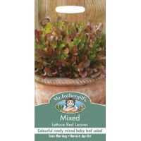 UK/FO-MIXED Lettuce Red Leaves - image 1