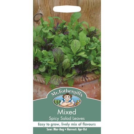 UK/FO-MIXED Spicy Salad Leaves - image 1