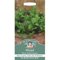 UK/FO-MIXED Spicy Salad Leaves - image 1