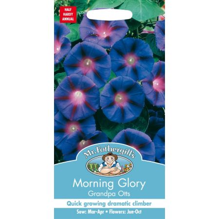 UK/FO-MORNING GLORY Grandpa Otts - image 1