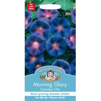 UK/FO-MORNING GLORY Grandpa Otts - image 1