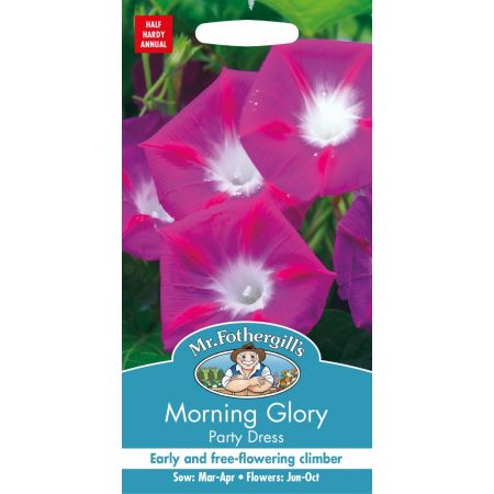 UK/FO-MORNING GLORY Party Dress - image 1