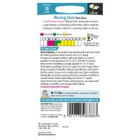 UK/FO-MORNING GLORY Party Dress - image 2