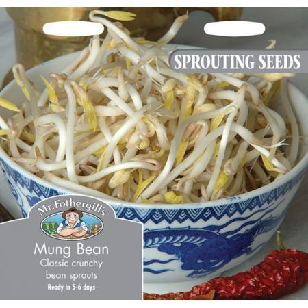 UK/FO-SS MUNG BEAN - image 1