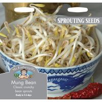 UK/FO-SS MUNG BEAN - image 1