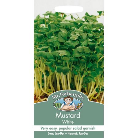 UK/FO-MUSTARD White - image 1