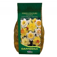 DAFFS MIXED 1.5KG