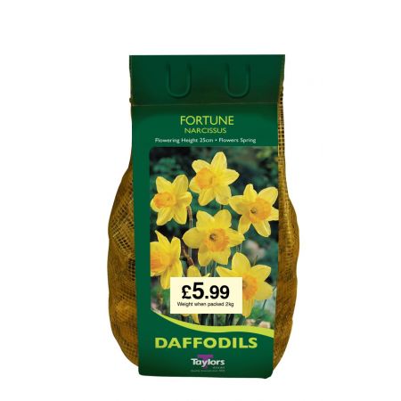 Narcisus Fortune 2kg