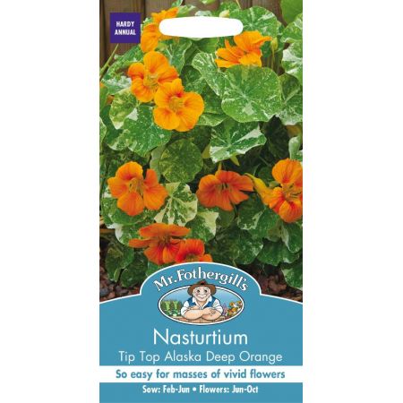 UK/FO-NASTURTIUM Alaska Tip Top Deep Orange - image 1