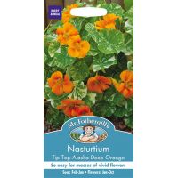 UK/FO-NASTURTIUM Alaska Tip Top Deep Orange - image 1
