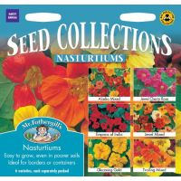 UK/FO-NASTURTIUM COLLECTION - image 2