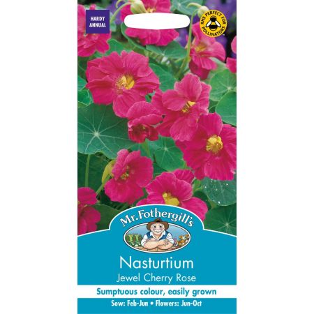 UK/FO-NASTURTIUM Jewel Cherry Rose - image 1
