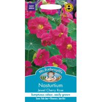 UK/FO-NASTURTIUM Jewel Cherry Rose - image 1