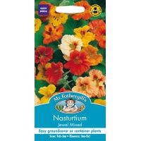 UK/FO-NASTURTIUM Jewel Mixed - image 2