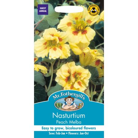 UK/FO-NASTURTIUM Peach Melba - image 1