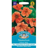 UK/FO-NASTURTIUM Salmon Baby - image 1