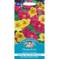 UK/FO-NASTURTIUM Summer Carousel - image 1