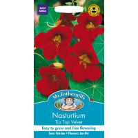 UK/FO-NASTURTIUM Tip Top Velvet - image 1