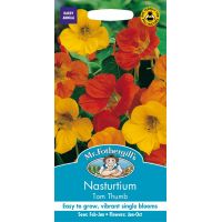UK/FO-NASTURTIUM Tom Thumb - image 1
