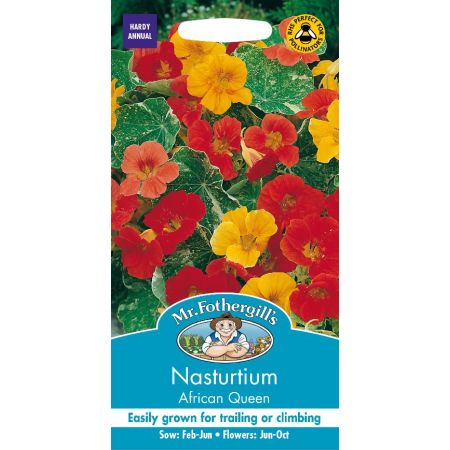 UK/FO-NASTURTIUM (Trailing) African Queen - image 1