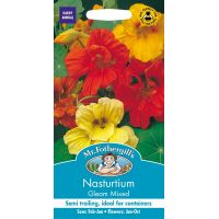 UK/FO-NASTURTIUM (Trailing) Gleam Mixed - image 1