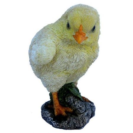 NF Chick F