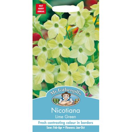 UK/FO-NICOTIANA Lime Green - image 1