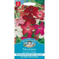 UK/FO-NICOTIANA Sensation Mixed - image 1