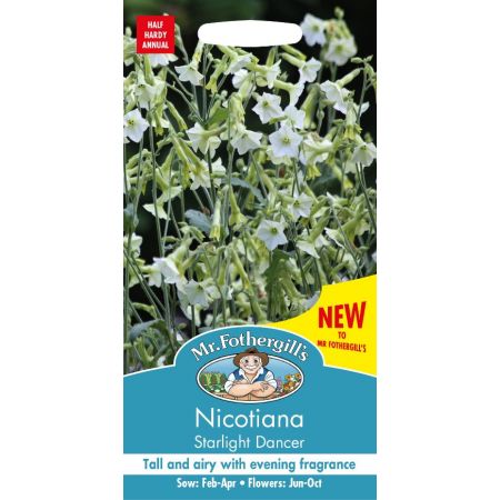 UK/FO-NICOTIANA Starlight Dancer - image 1