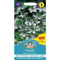 UK/FO-NIGELLA Black Caraway
