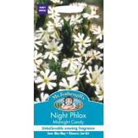 UK/FO-NIGHT PHLOX Midnight Candy - image 1