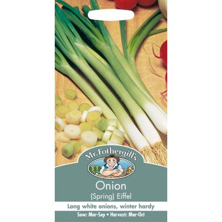 UK/FO-ONION (Spring) Eiffel - image 1