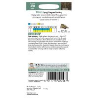 UK/FO-ONION (Spring) Evergreen Bunching - image 2